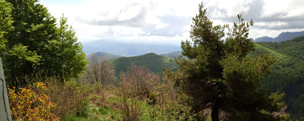 Vista des de Puig Estela cap a La Garrotxa, Enduro